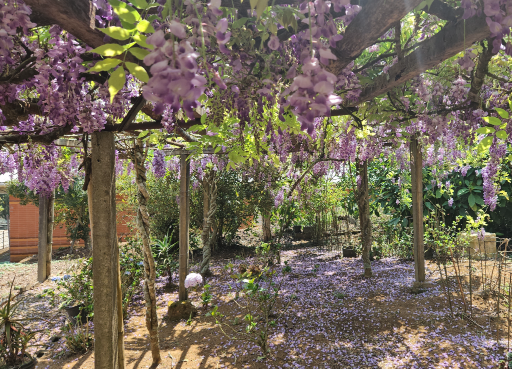 Jardim de Glinínias
